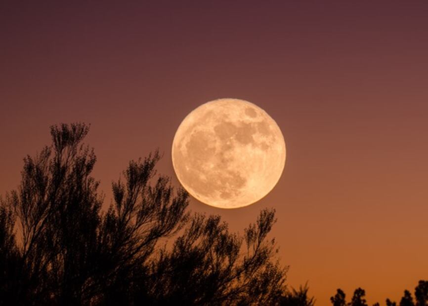 10 fenómenos astronómicos que no te puedes perder en 2021
