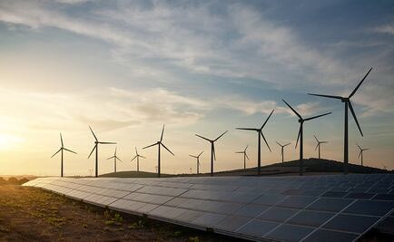 Esfuerzo de Grupo Bimbo por mitigar el cambio climático a nivel global es premiado 