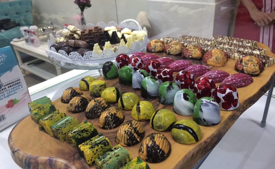 Catalina Díaz/ EL UNIVERSAL