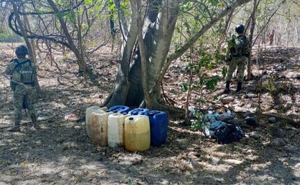 Hallan explosivos y químicos en Cósala; ejército desmantela plantío de marihuana