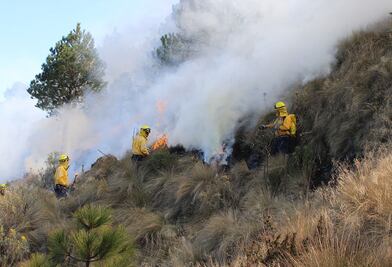 Conafor reporta que 15 de 16 incendios en CDMX ya fueron liquidados