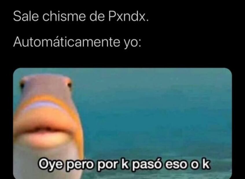 Pxndx emociona a sus fans con ¿posible regreso?