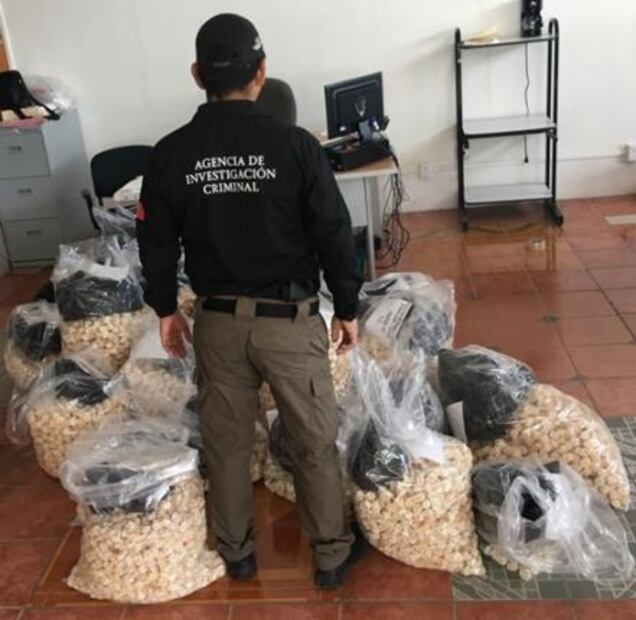 Vinculan a proceso a tres por posesión de 35 mil huevos de tortuga