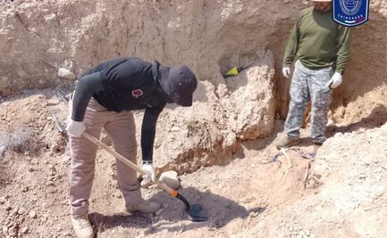 Encuentran dos osamentas durante rastreo en Chihuahua; realizaban acciones de búsqueda de personas