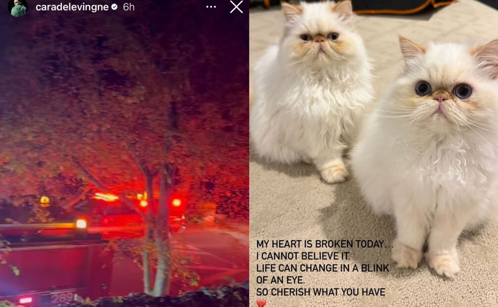 Fotos: Instagram (@caradelevingne)