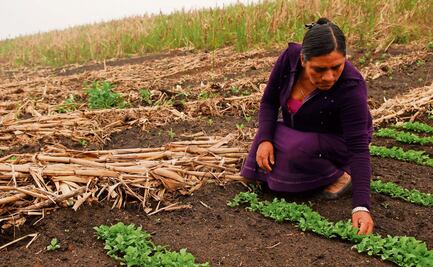 Impulsan mejoría salarial en mujeres de zonas rurales