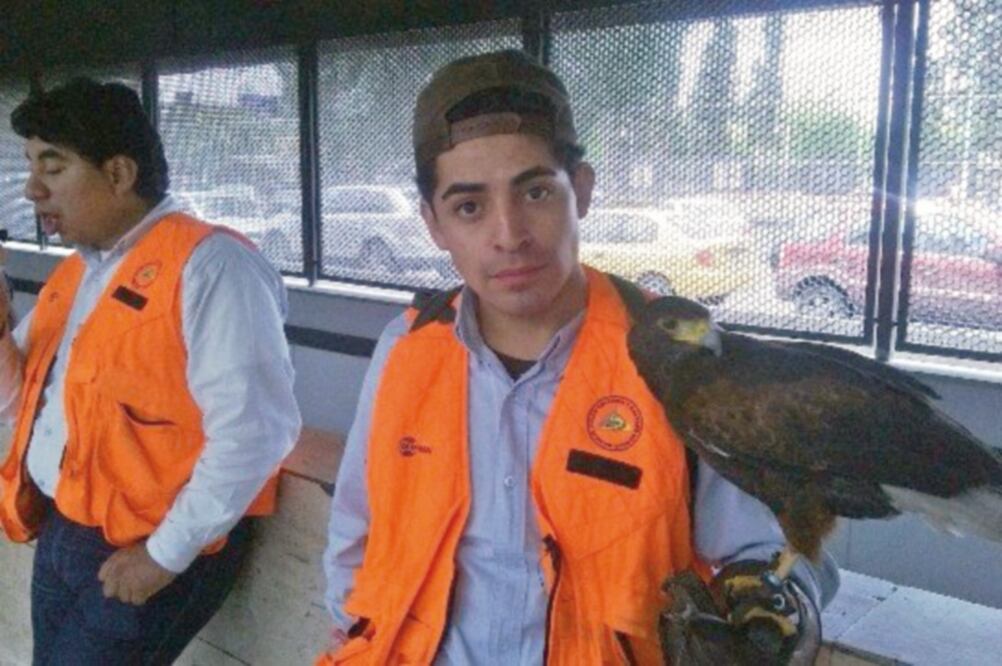 Un trabajador del Metro decidió documentar cómo un entrenador viajaba con un águila de caza en la estación Instituto del Petróleo, Línea 5, en 2013. (CORTESÍA DE GUSTAVO CAMARILLO)