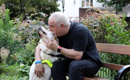 Pasaporte para mascotas en Europa, en riesgo por Brexit