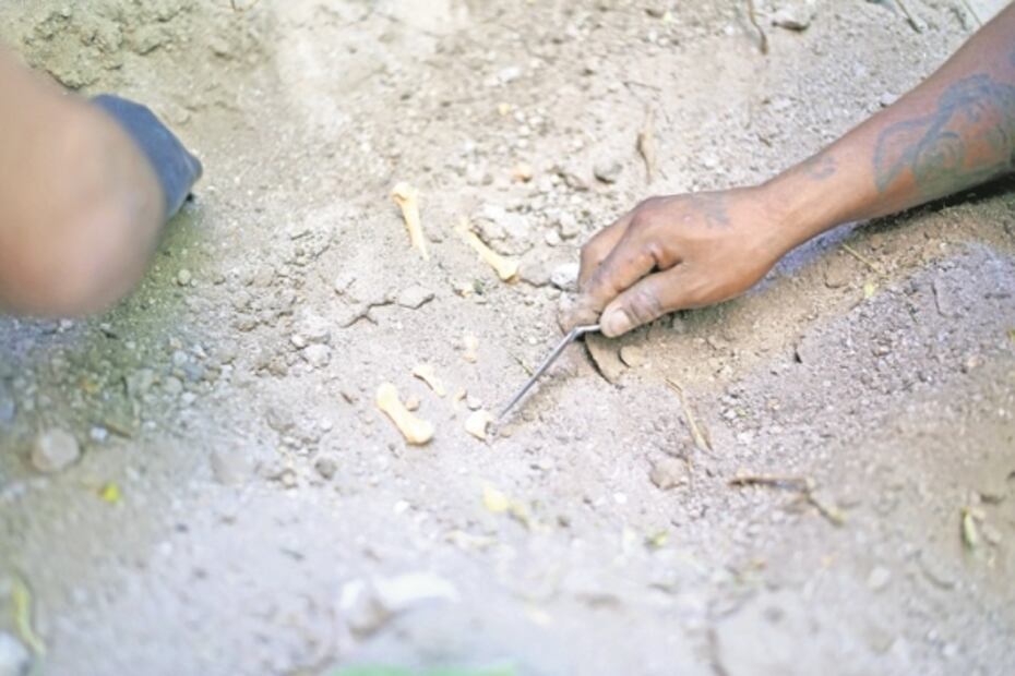 Cavan en cerros; así buscan a sus desaparecidos en Guerrero