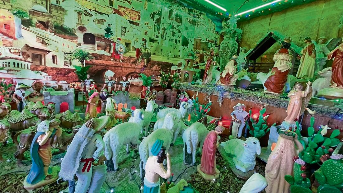 El nacimiento cuenta con aproximadamente 350 figuras que han sido adquiridas en lugares como Guadalajara, Hidalgo, Monterrey y Torreón. Foto: Paola Gamboa | El Universal