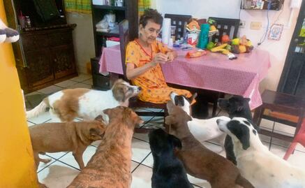 “Mi preocupación es que se queden sin mí”, dice doña Piluchita; tres décadas de acoger perritos de la calle