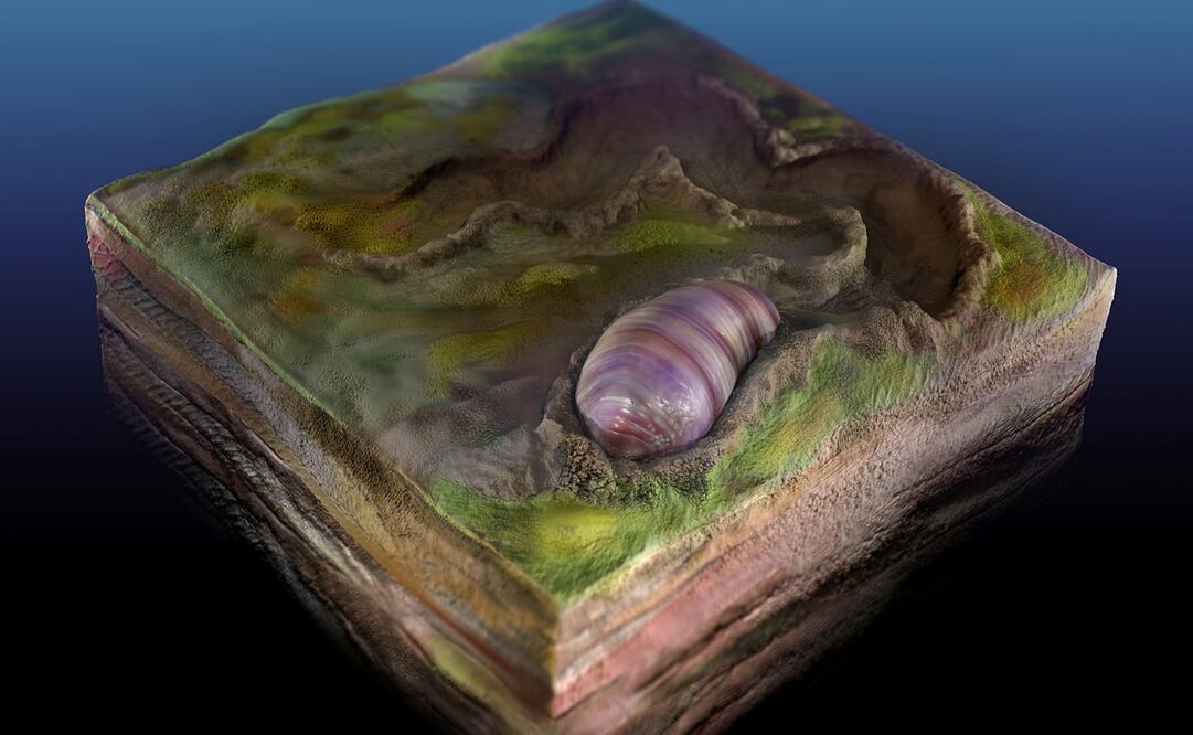 Foto: Sohail Wasif/University of California Riverside/Handout via Reuters