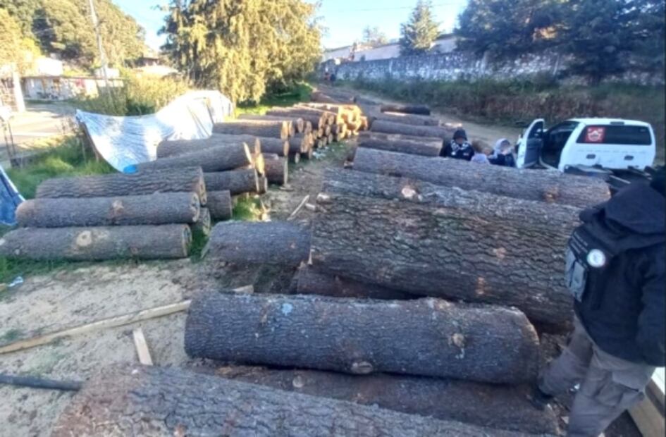 Desmantelan 5 centros de almacenamiento de madera en Morelos