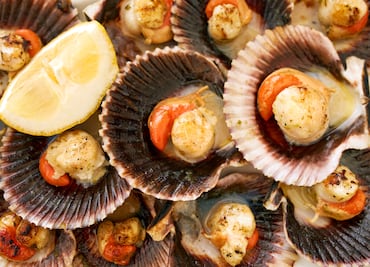 Cuáles son las diferencias entre los ostiones, almejas, ostras y mejillones