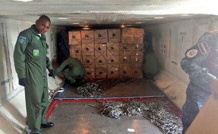 Aún llega ayuda del extranjero por sismos en México: SRE