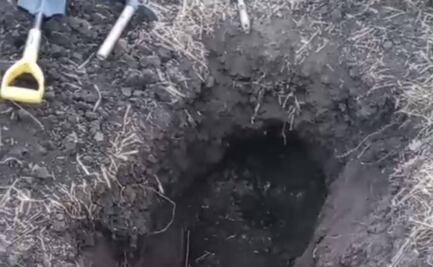 Brigadistas encuentran restos de tres personas en fosa clandestina en Irapuato