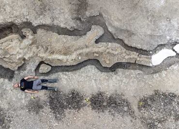 Hallan por casualidad fósil de "dragón marino", el más grande hasta ahora visto