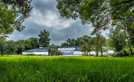 ¿Sigue en pie el proyecto del Pabellón Contemporáneo Mexicano, en Chapultepec?