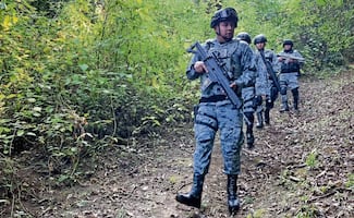 Guardia Nacional protege bosques del Edomex contra tala ilegal