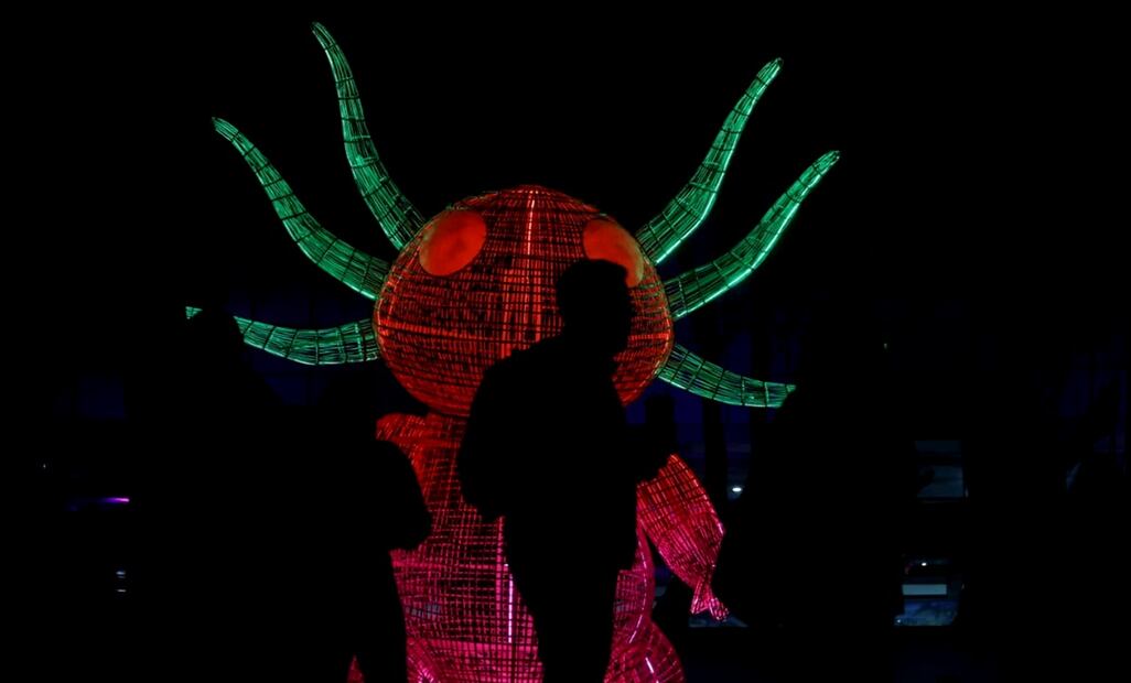 La exposición de arte lumínico “Solo la Luz” se presenta en avenida Paseo de la Reforma en la Ciudad de México, el viernes 17 de octubre de 2025. Foto: Gabriel Pano/EL UNIVERSAL