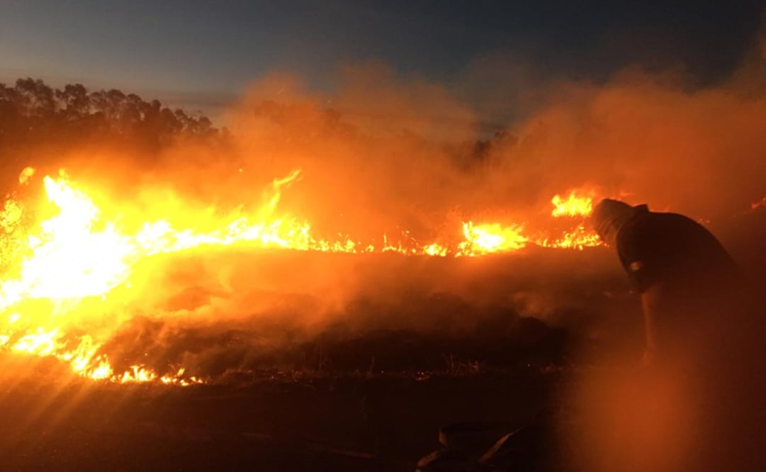 Foto: Twitter @SEDEMA_CDMX