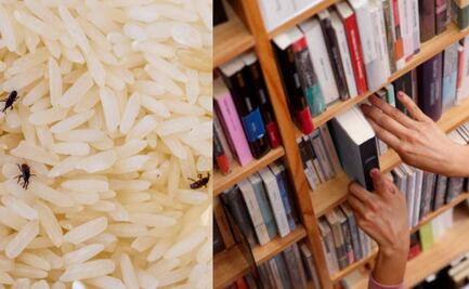 Alerta en Hungría: su biblioteca más antigua trata de salvar 100 mil libros de una plaga de… gorgojos