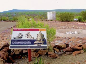 Rincón Colorado: la primera zona paleontológica de México