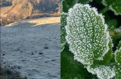 Heladas provocan temperaturas de -11 grados en zona de montaña de Veracruz