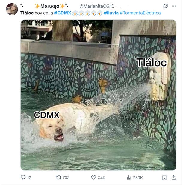 Los mejores memes que dejó la lluvia de este domingo 10 de agosto, usuarios hacen reclamo a Tláloc. Foto: Captura de pantalla