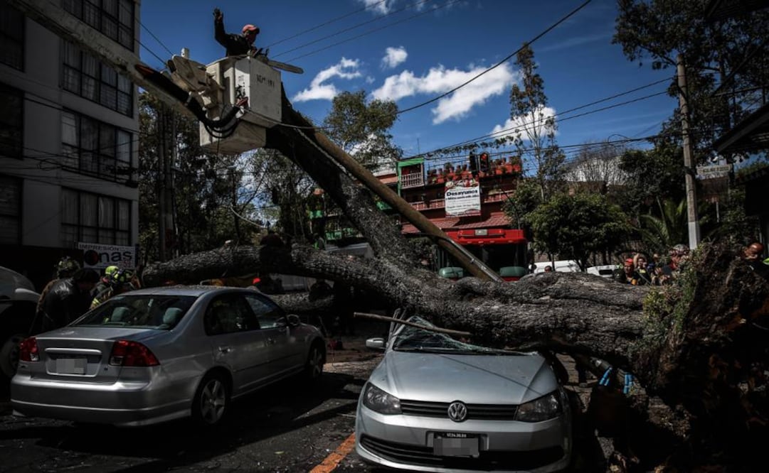 ¡Cuidado! Activan alerta amarilla en CDMX por rachas de vientos fuertes. Foto: Archivo