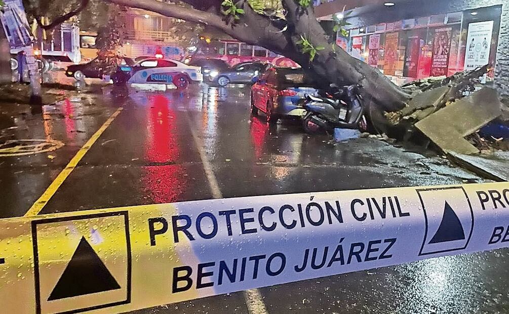 La fuerte lluvia causó la caída de un árbol en calles de la alcaldía Benito Juárez, donde intervino Protección Civil. Foto: Especial