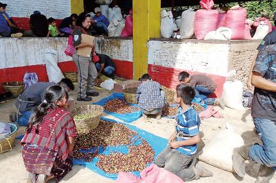 En vez de vacacionar, los explotan